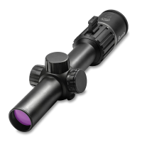 Burris RT-6 1-6x24